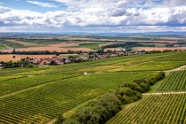 Sörgenlocher Moosberg Sörgenlocher Moosberg