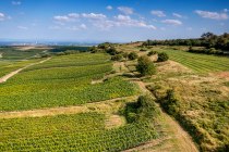 Dittelsheimer Kloppberg Dittelsheimer Kloppberg