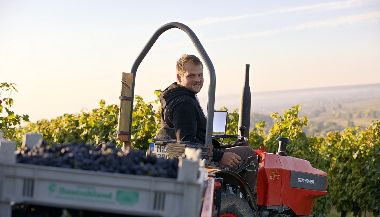 Weingut Baum-Barth_Traktor, © Weingut Baum-Barth Weingut Baum-Barth_Traktor, © Weingut Baum-Barth