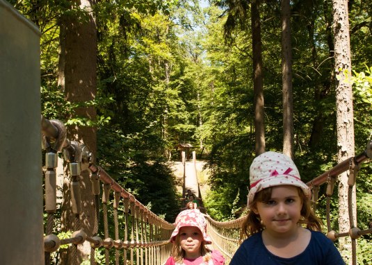 Hängebrücke Binger Wald © Martin Kämper Quelle Stadt Bingen Hängebrücke Binger Wald © Martin Kämper Quelle Stadt Bingen