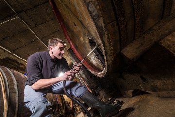 © Weingut Boxheimerhof © Weingut Boxheimerhof