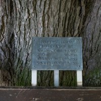 Kastanie Info Kastanie Info