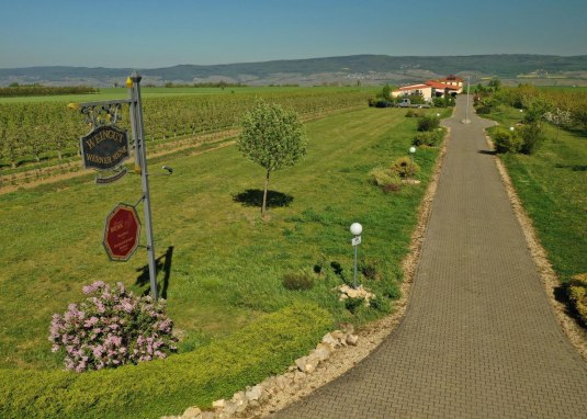 Camper parkeerplaats Weingut Menk Camper parkeerplaats Weingut Menk
