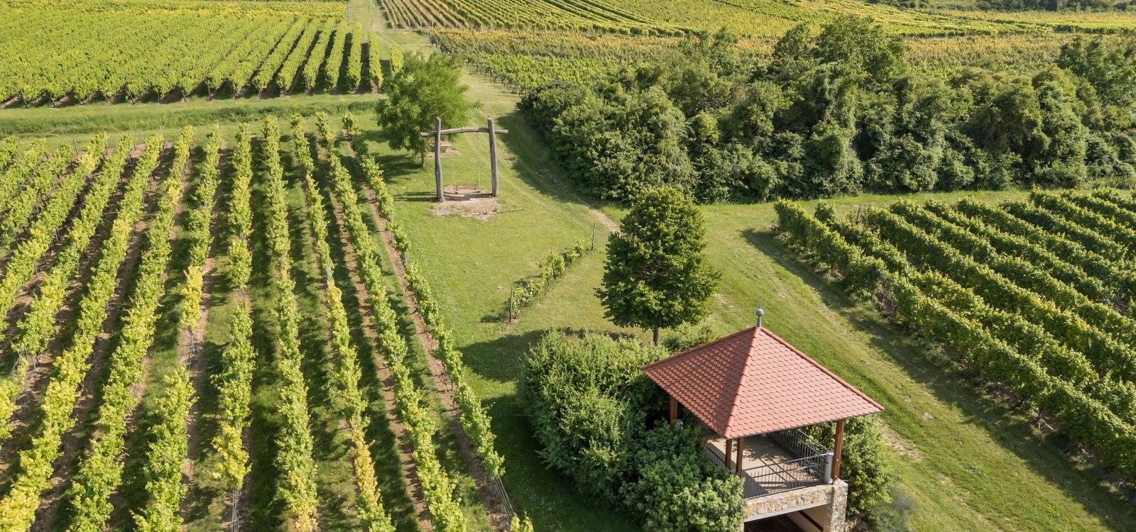 Aussichten von oben Aussichten von oben