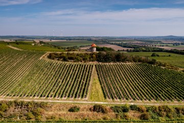 Albiger Hundskopf Albiger Hundskopf