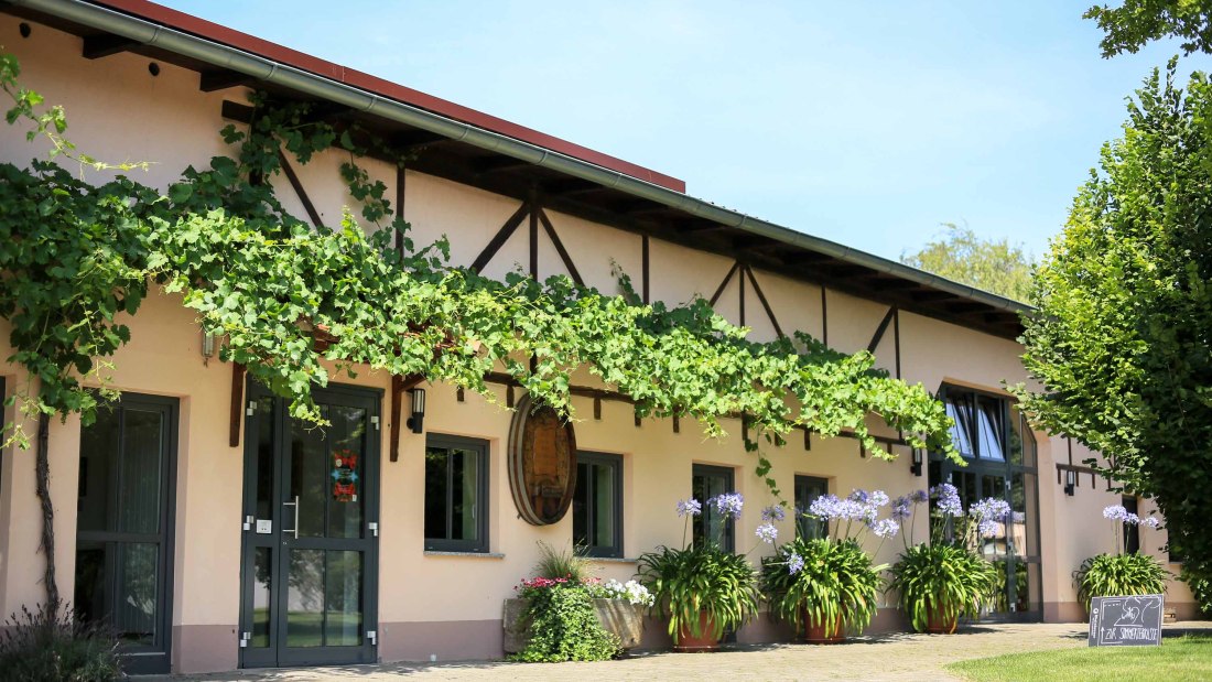 Weingut Dieter Michel_Außenansicht 2, © Weingut Dieter Michel Weingut Dieter Michel_Außenansicht 2, © Weingut Dieter Michel