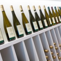 2016-03-25_Domhof_Schlafgut_109_von_130 2016-03-25_Domhof_Schlafgut_109_von_130