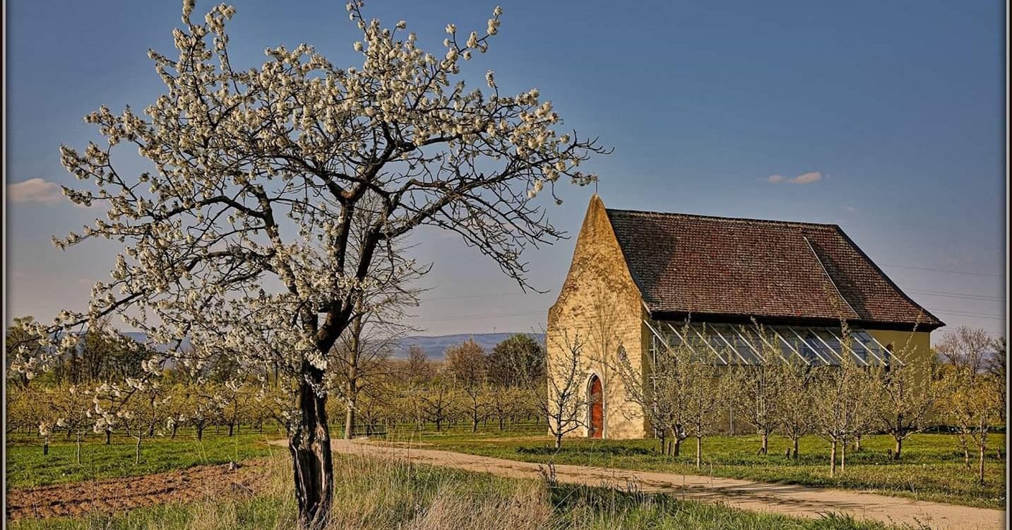 Sint-Joriskapel Sint-Joriskapel