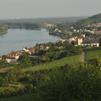 Rheinland Pfalz_Rheinhessen_Winzerhof Dätwyl_1291 Rheinland Pfalz_Rheinhessen_Winzerhof Dätwyl_1291