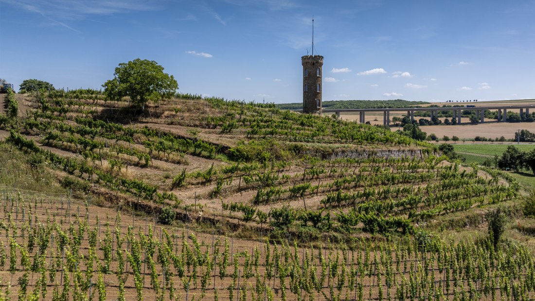 Weinheimer Heiliger Blutberg, © Torsten Silz Weinheimer Heiliger Blutberg, © Torsten Silz