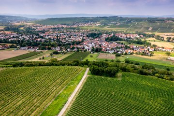 Stadecker Spitzberg Stadecker Spitzberg