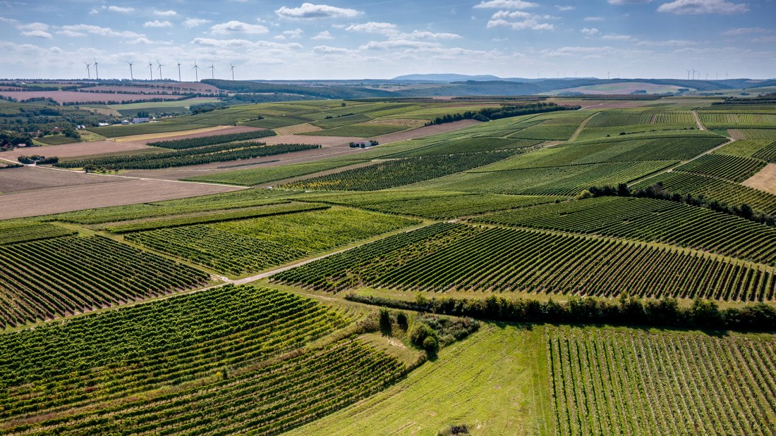 Flonheimer Binger Berg Flonheimer Binger Berg