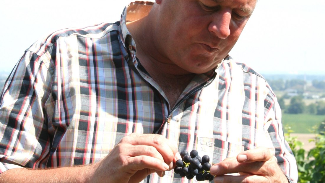 Weingut Eckehart Gröhl_Winzer, © Weingut Eckehart Gröhl Weingut Eckehart Gröhl_Winzer, © Weingut Eckehart Gröhl