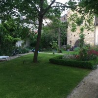 Blick in den Garten Blick in den Garten
