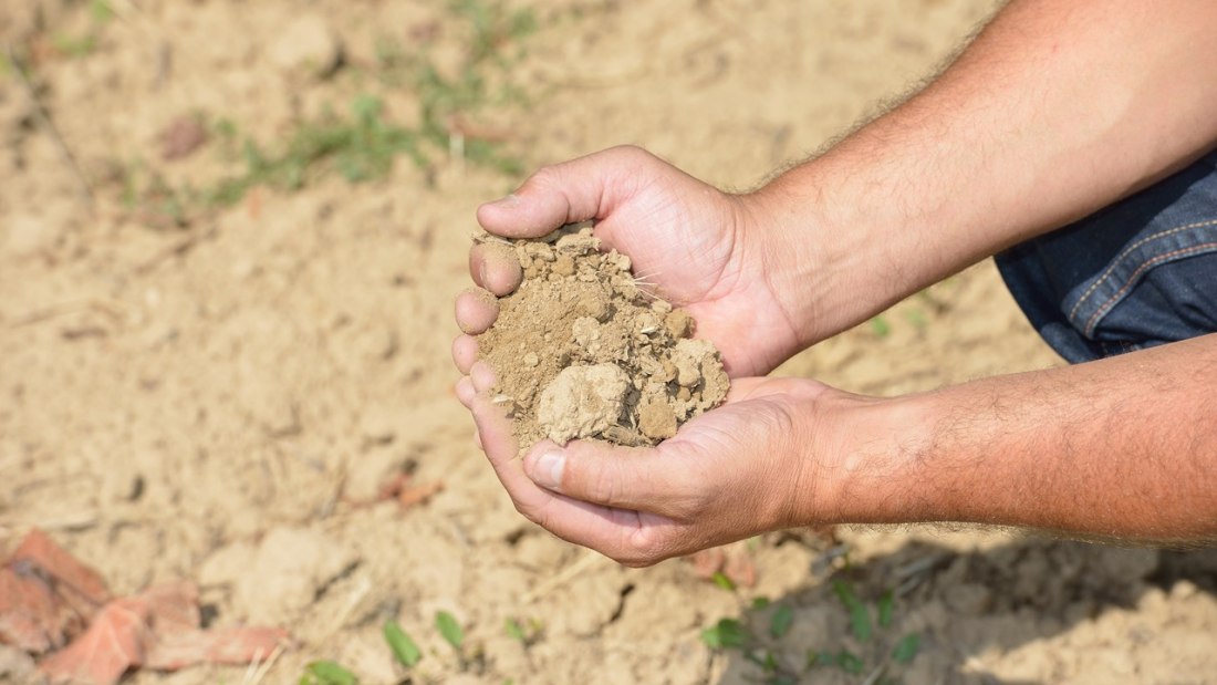 Schweickardt4, © Weingut Schweickardt Schweickardt4, © Weingut Schweickardt