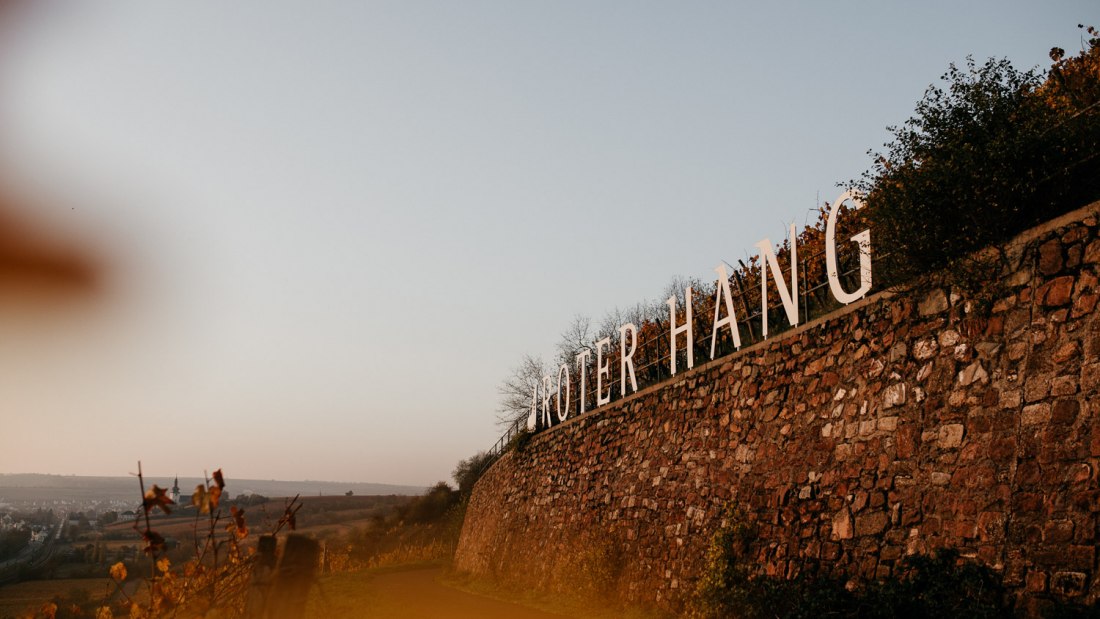 InesBarwig_WeingutEimermann_RoterHang-72 InesBarwig_WeingutEimermann_RoterHang-72