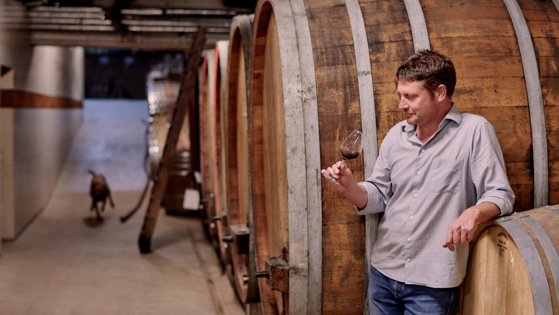 Weingut Sander_Rotweinprobe im Weinkeller, © Weingut Sander Weingut Sander_Rotweinprobe im Weinkeller, © Weingut Sander