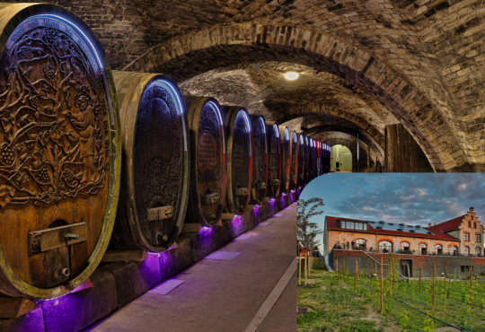 Weinerlebniswelt Ingelheimer Winzerkeller, © Rainer Oppenheimer/Stadt Ingelheim Weinerlebniswelt Ingelheimer Winzerkeller, © Rainer Oppenheimer/Stadt Ingelheim
