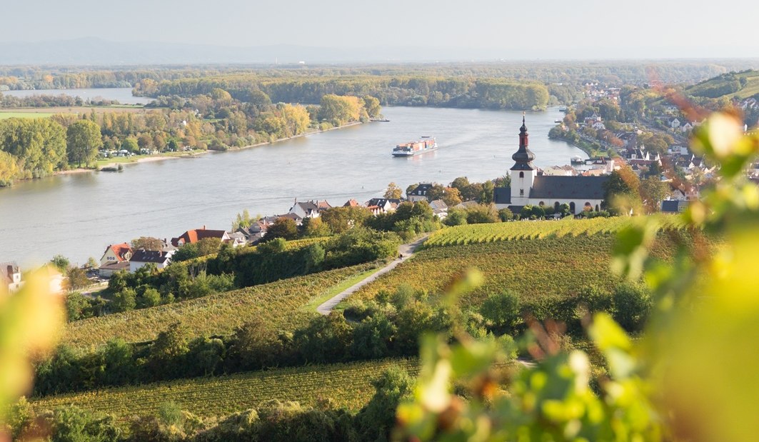 Weingut Heise am Kranzberg_Rhein 2, © Weingut Heise am Kranzberg Weingut Heise am Kranzberg_Rhein 2, © Weingut Heise am Kranzberg