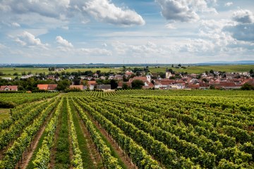 Bechtheimer Rosengarten Bechtheimer Rosengarten