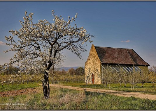 Sint-Joriskapel Sint-Joriskapel