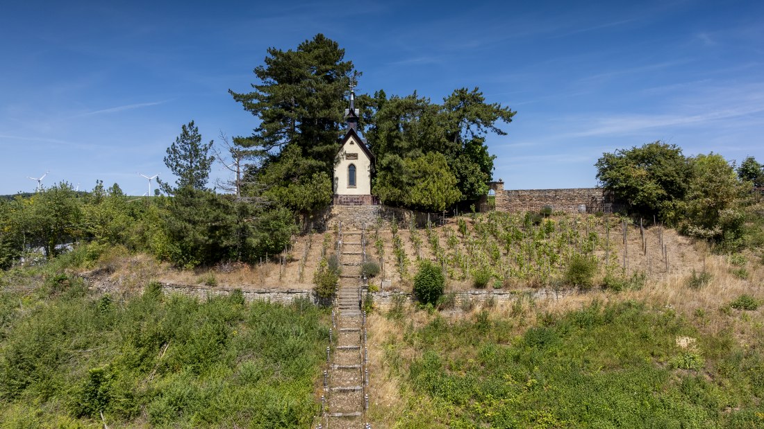 Weinheimer Heiliger Blutberg-171 Kopie Weinheimer Heiliger Blutberg-171 Kopie