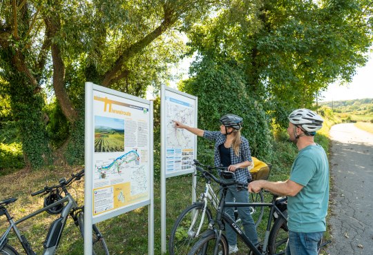 Radfahren in Ingelheim, © Dominik Ketz/RHT GmbH Radfahren in Ingelheim, © Dominik Ketz/RHT GmbH