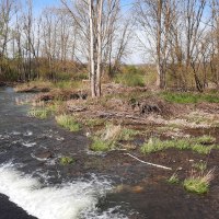 "Gefach" Gensingen "Gefach" Gensingen