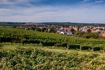 Albiger Schloss Hammerstein Albiger Schloss Hammerstein