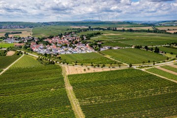 Hohen-Sülzener Kirchenstück Hohen-Sülzener Kirchenstück