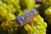 © Volker Oehl © Volker Oehl