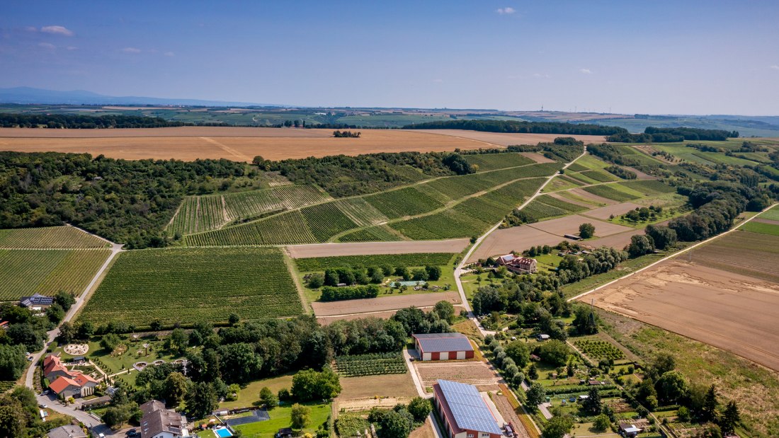 Appenheimer Hundertgulden Appenheimer Hundertgulden