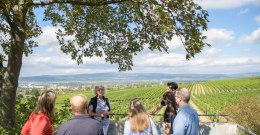 There are wonderful vantage points along the Wine Mile from which you can enjoy the magnificent panorama to the full. © Angelika Stehle/IKuM GmbH There are wonderful vantage points along the Wine Mile from which you can enjoy the magnificent panorama to the full. © Angelika Stehle/IKuM GmbH