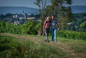 Hiking trail on the Mainz mountain © Heike Rost Hiking trail on the Mainz mountain © Heike Rost