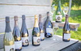 Wein- und Sektgut Nikolaushof 1 Wein- und Sektgut Nikolaushof 1