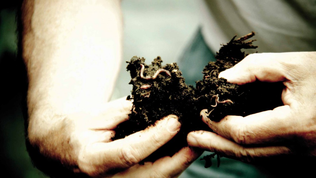 Compost Internet, © Weingut Espenhof Compost Internet, © Weingut Espenhof