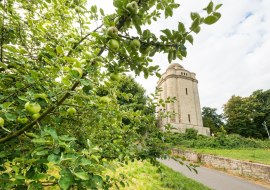 Bismarckturm Ingelheim Bismarckturm Ingelheim