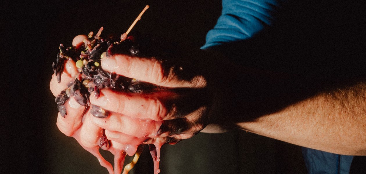 © Ökologischer Weinbau Huster © Ökologischer Weinbau Huster