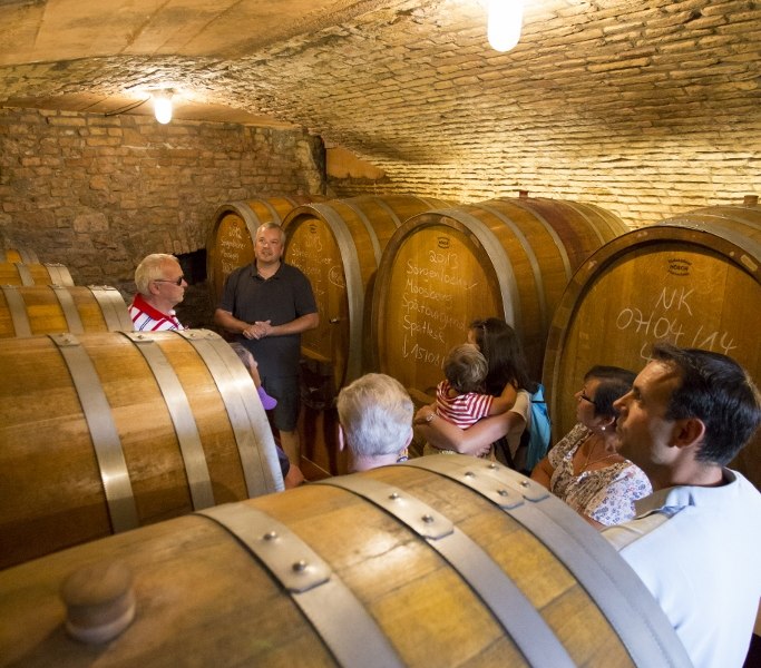 Weingut Helmut Best_Keller, © Weingut Helmut Best Weingut Helmut Best_Keller, © Weingut Helmut Best