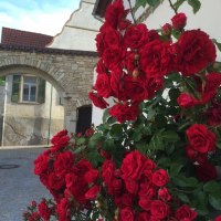 Hofeinfahrt Hofeinfahrt