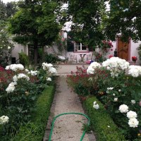 Eingang Terrasse Eingang Terrasse