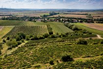 Hillesheimer Altenberg Hillesheimer Altenberg