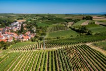 Dalheimer Kranzberg Dalheimer Kranzberg