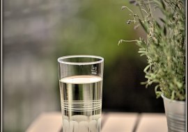 Wein Genuss Walk Wein Genuss Walk