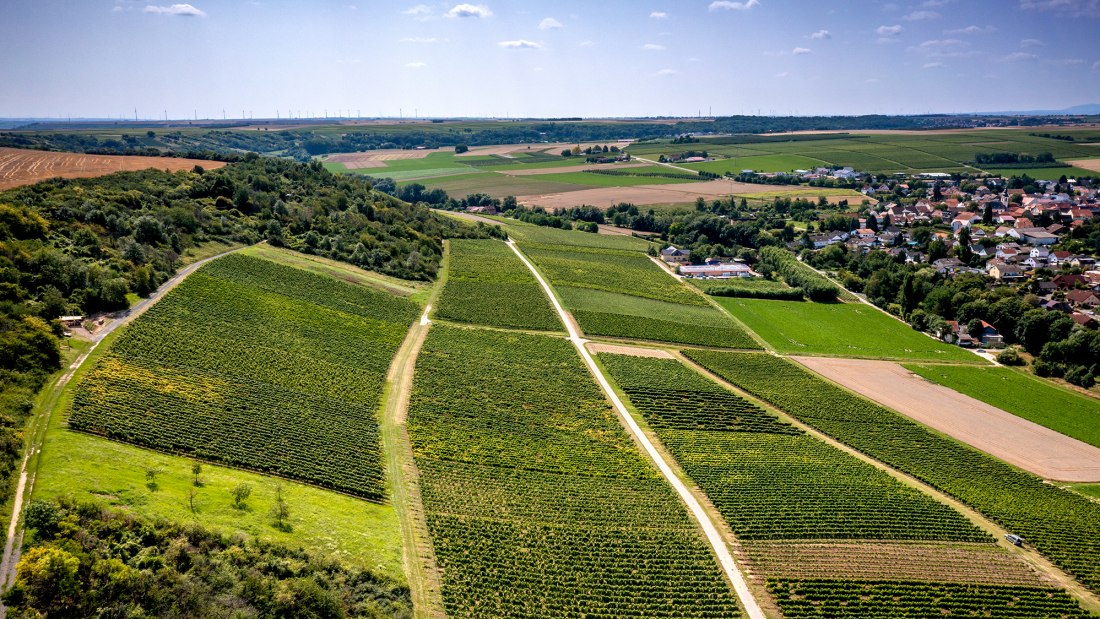 Appenheimer Hundertgulden Appenheimer Hundertgulden