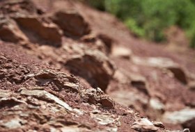 Rotliegend Rigosol Rotliegend Rigosol