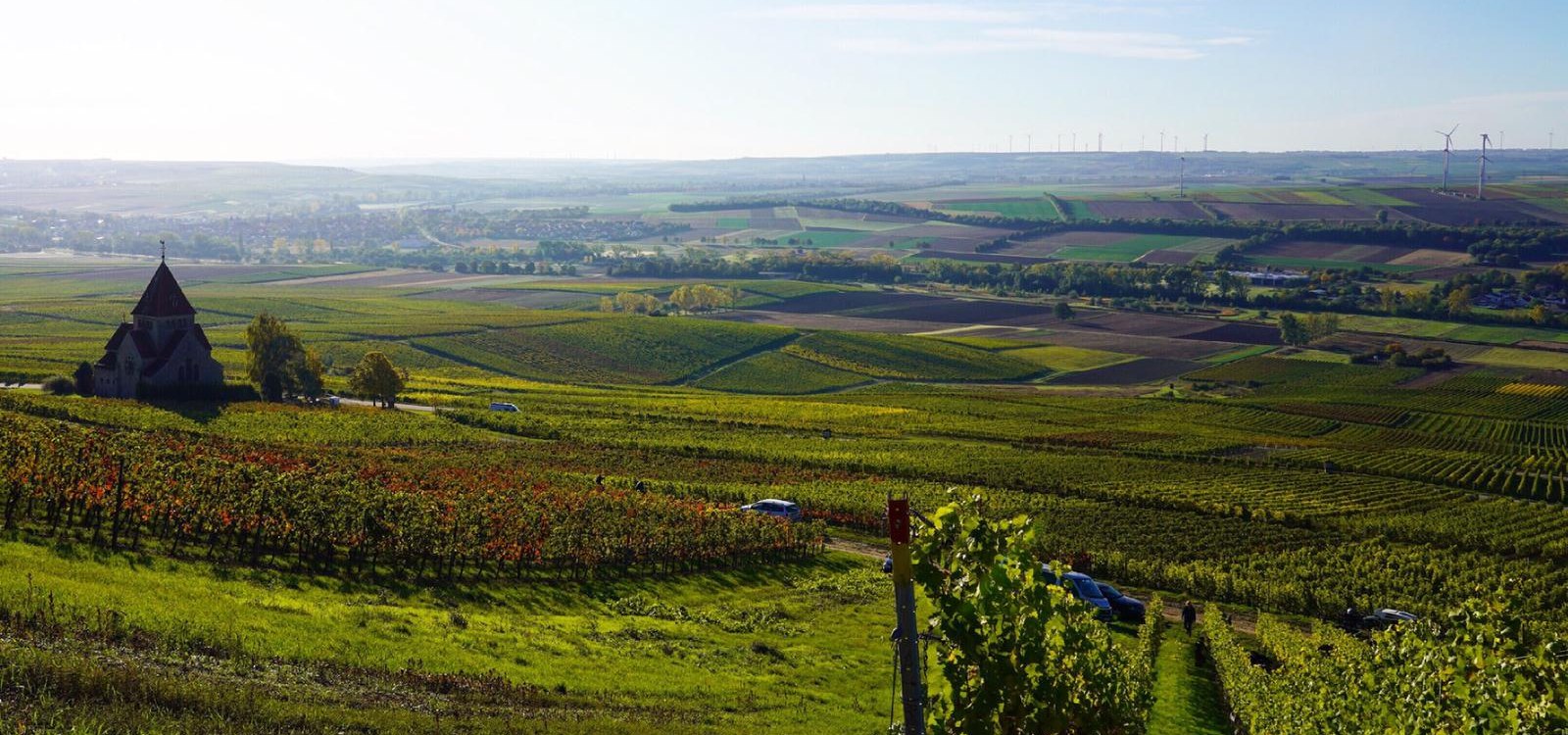 Weingut Schnabel_Weinberge, © Weingut Schnabel Weingut Schnabel_Weinberge, © Weingut Schnabel
