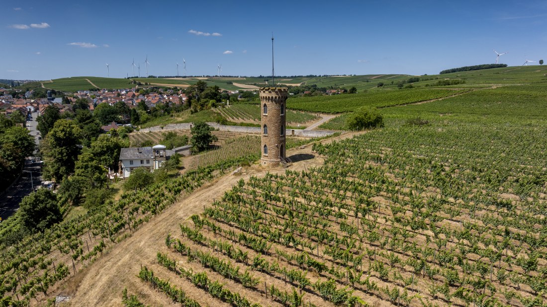 Weinheimer Heiliger Blutberg, © Torsten Silz Weinheimer Heiliger Blutberg, © Torsten Silz