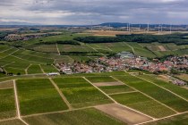 Lonsheimer Mandelberg Lonsheimer Mandelberg