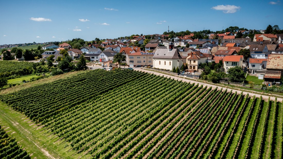 Ober-Olmer Kapellenberg Ober-Olmer Kapellenberg
